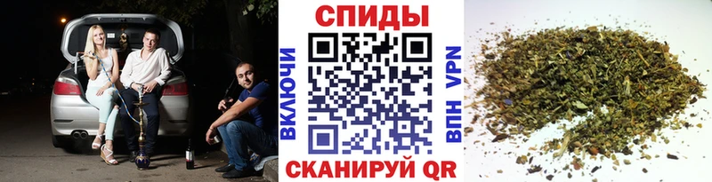 закладки  Будённовск  OMG ссылка  Бутират буратино 