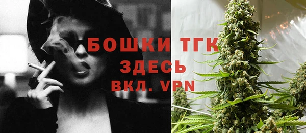 бошки Бородино