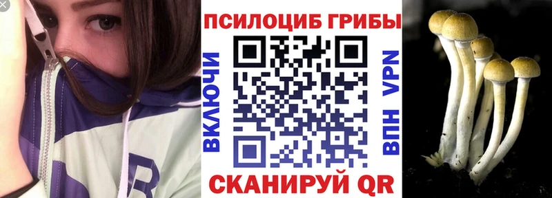 Псилоцибиновые грибы Psilocybe  магазин продажи наркотиков  Будённовск 