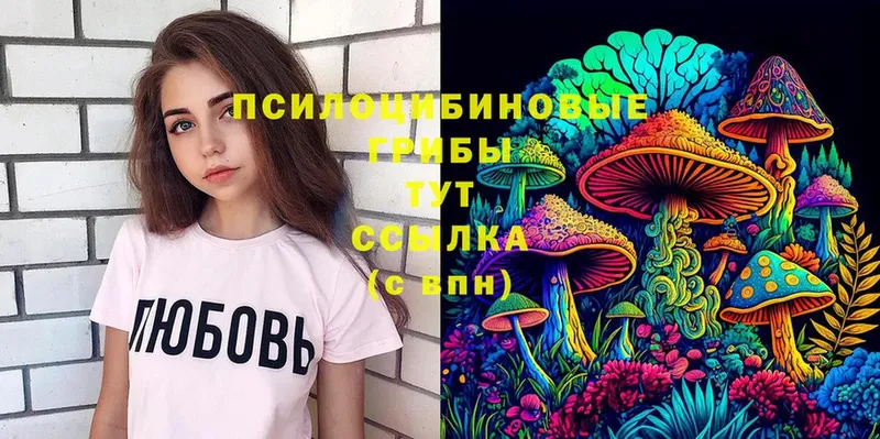 Галлюциногенные грибы Cubensis  Будённовск 